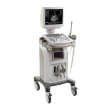 Echographe numérique matériel diagnostic médical